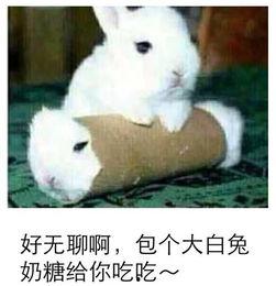 最近热门事件合集吃瓜兔 独家爆料大全免费观看 热门大瓜每日必吃大瓜,热门大瓜每日必吃，独家大全免费观看