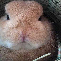 最近热门事件合集吃瓜兔 独家爆料大全免费观看 热门大瓜每日必吃大瓜,热门大瓜每日必吃，独家大全免费观看